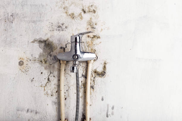 Water Damage Restoration in Carbonville, UT