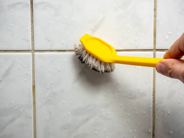 Mold Removal Process in Carbonville, UT