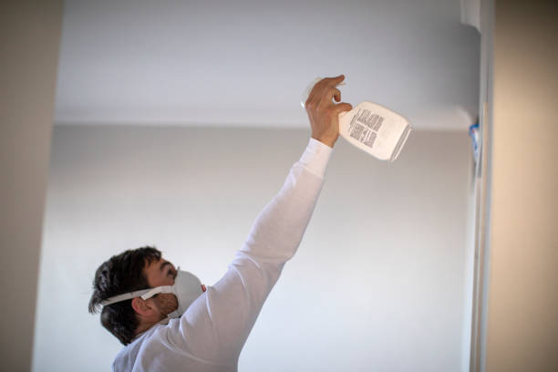 Best Toxic Mold Removal  in Carbonville, UT