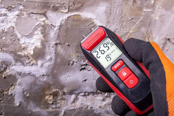 Reliable Carbonville, UT Mold Removal Solutions
