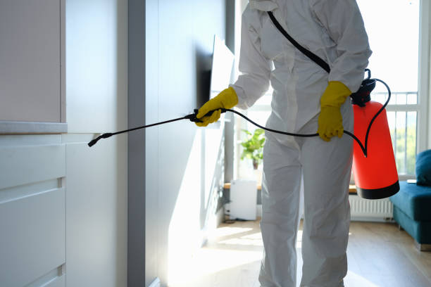 Best Local Mold Removal Service  in Carbonville, UT