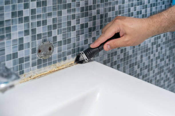 Best Best Mold Removal Companies  in Carbonville, UT