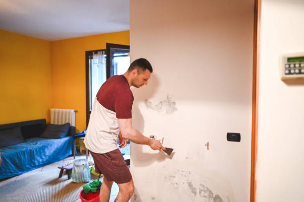 Best Mold Testing and Removal  in Carbonville, UT