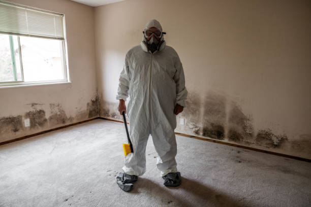 Best Mold Removal and Inspection  in Carbonville, UT